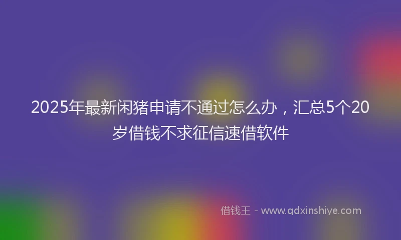 2025年最新闲猪申请不通过怎么办，汇总5个20岁借钱不求征信速借软件