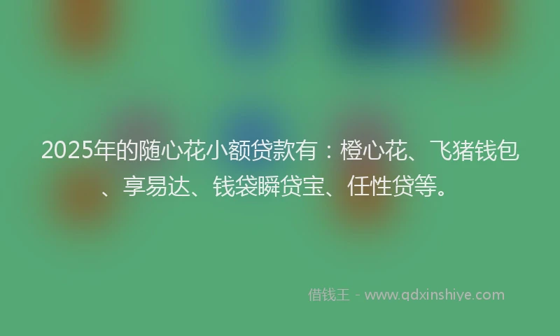 2025年的随心花小额贷款有：橙心花、飞猪钱包、享易达、钱袋瞬贷宝、任性贷等。