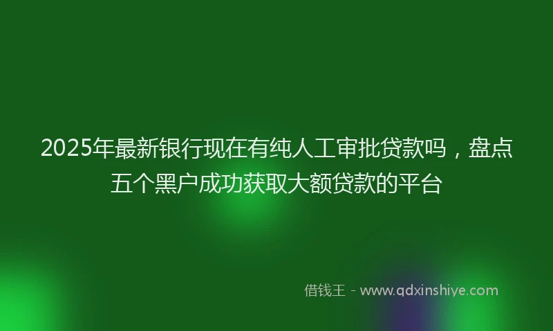 2025年最新银行现在有纯人工审批贷款吗，盘点五个黑户成功获取大额贷款的平台