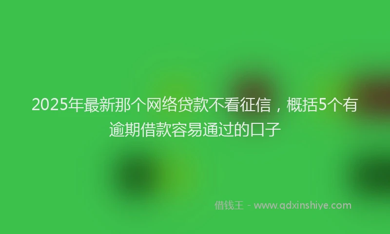 2025年最新那个网络贷款不看征信，概括5个有逾期借款容易通过的口子