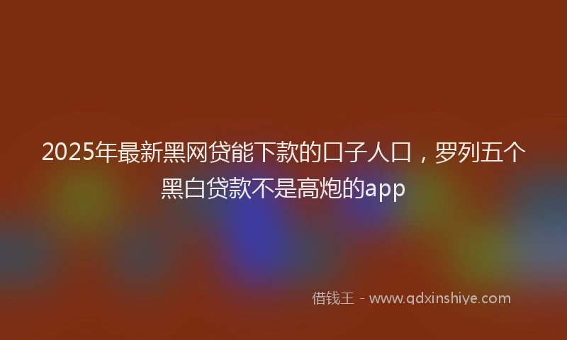 2025年最新黑网贷能下款的口子人口，罗列五个黑白贷款不是高炮的app