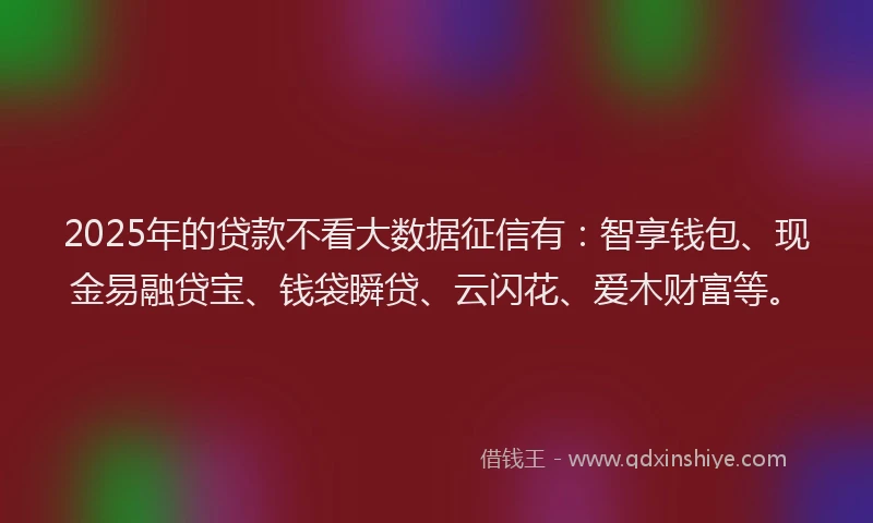 2025年的贷款不看大数据征信有：智享钱包、现金易融贷宝、钱袋瞬贷、云闪花、爱木财富等。