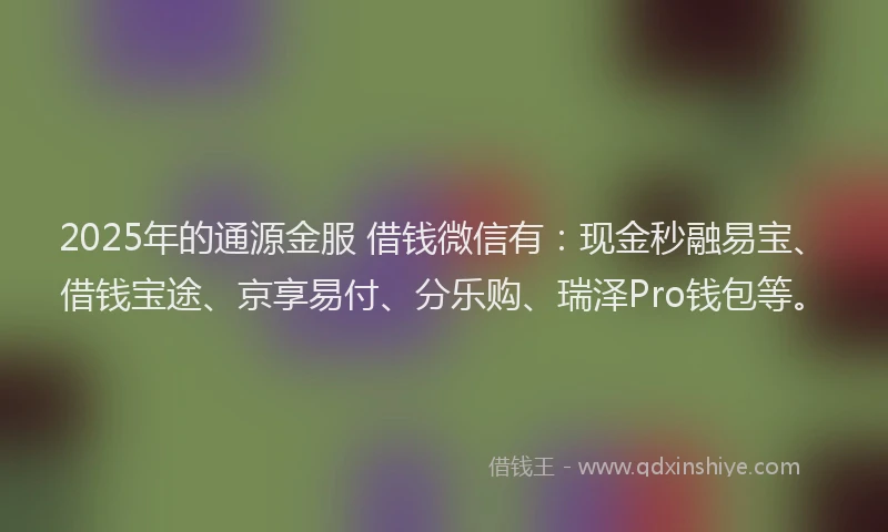 2025年的通源金服 借钱微信有：现金秒融易宝、借钱宝途、京享易付、分乐购、瑞泽Pro钱包等。