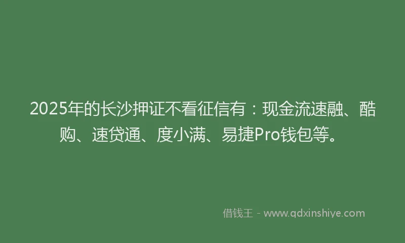 2025年的长沙押证不看征信有：现金流速融、酷购、速贷通、度小满、易捷Pro钱包等。