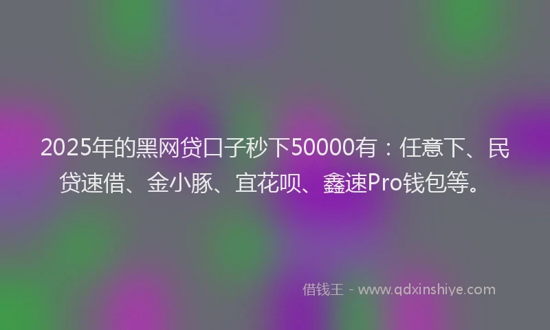 2025年的黑网贷口子秒下50000有：任意下、民贷速借、金小豚、宜花呗、鑫速Pro钱包等。