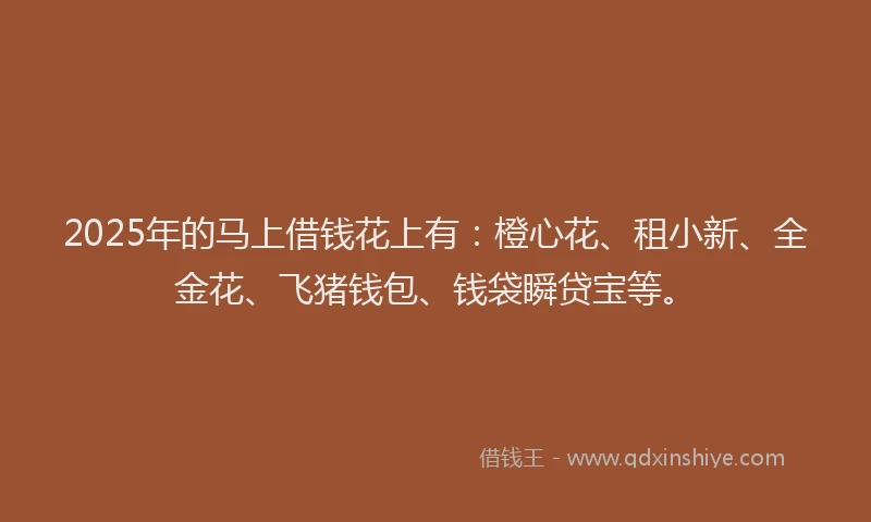 2025年的马上借钱花上有：橙心花、租小新、全金花、飞猪钱包、钱袋瞬贷宝等。