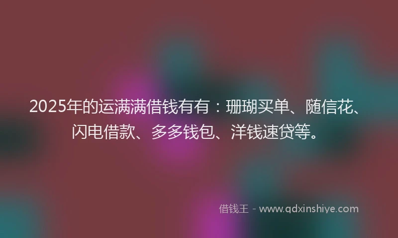 2025年的运满满借钱有有：珊瑚买单、随信花、闪电借款、多多钱包、洋钱速贷等。