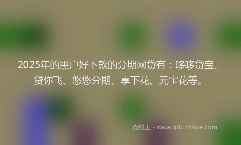 2025年的黑户好下款的分期网贷有：哆哆贷宝、贷你飞、悠悠分期、享下花、元宝花等。