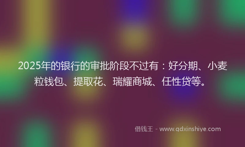 2025年的银行的审批阶段不过有：好分期、小麦粒钱包、提取花、瑞耀商城、任性贷等。