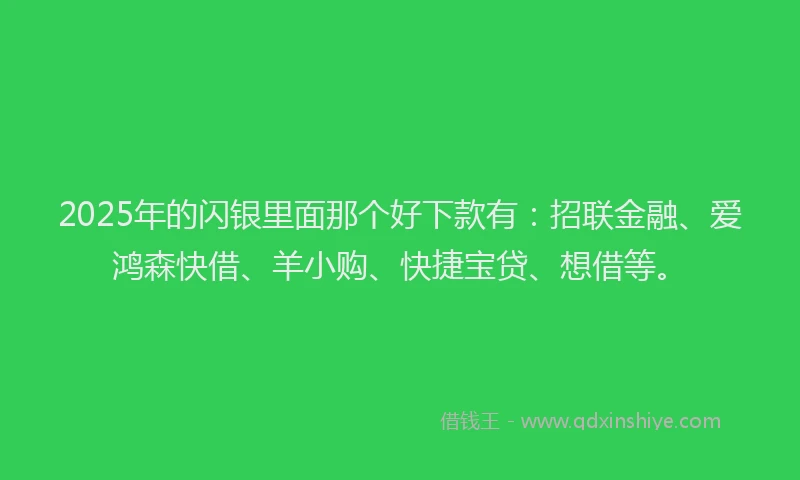 2025年的闪银里面那个好下款有：招联金融、爱鸿森快借、羊小购、快捷宝贷、想借等。