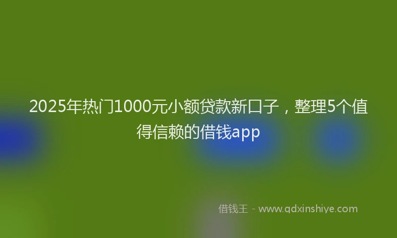 2025年热门1000元小额贷款新口子，整理5个值得信赖的借钱app