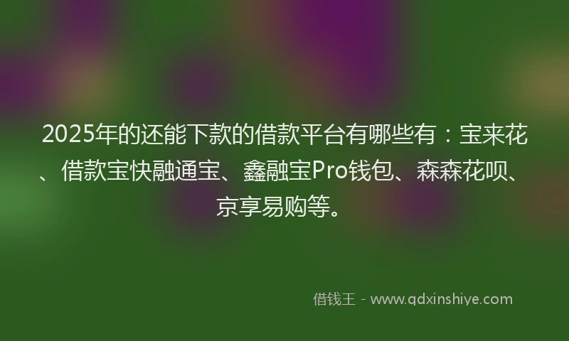 2025年的还能下款的借款平台有哪些有：宝来花、借款宝快融通宝、鑫融宝Pro钱包、森森花呗、京享易购等。