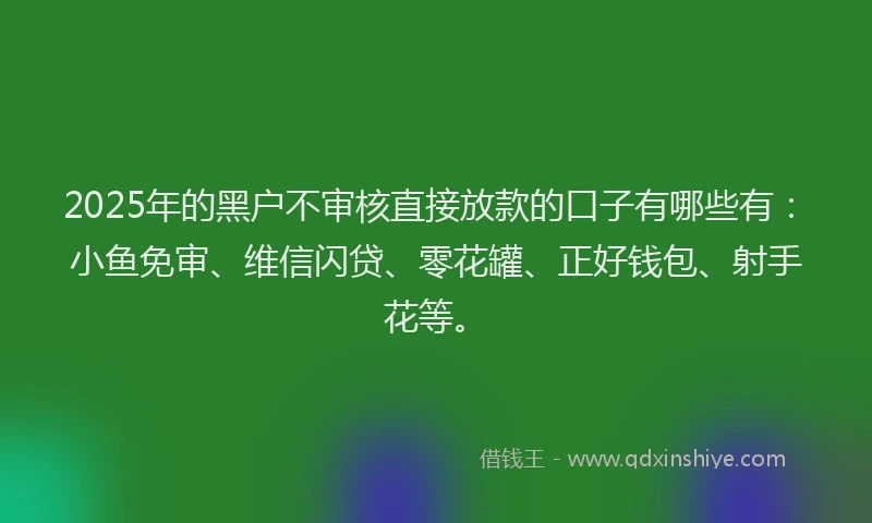 2025年的黑户不审核直接放款的口子有哪些有：小鱼免审、维信闪贷、零花罐、正好钱包、射手花等。