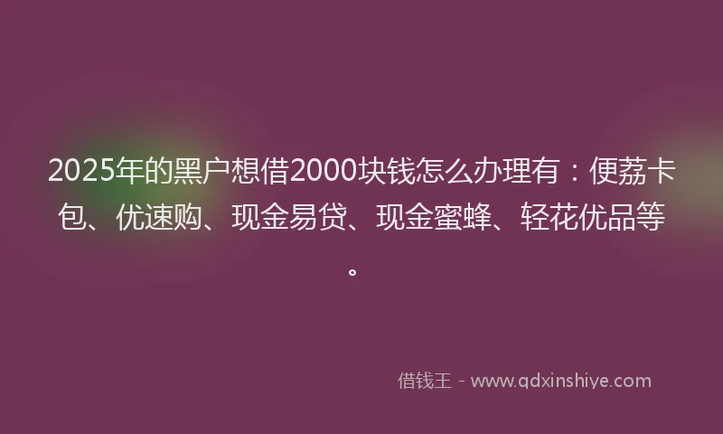 2025年的黑户想借2000块钱怎么办理有：便荔卡包、优速购、现金易贷、现金蜜蜂、轻花优品等。