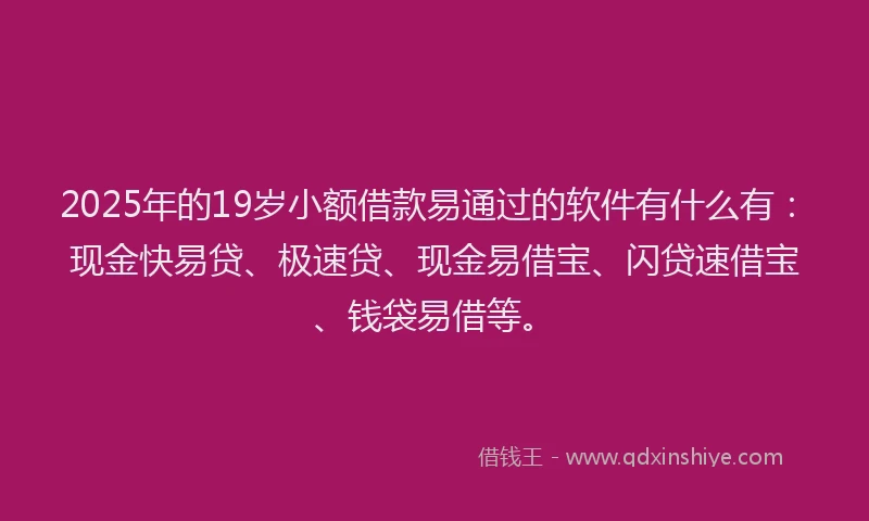 2025年的19岁小额借款易通过的软件有什么有：现金快易贷、极速贷、现金易借宝、闪贷速借宝、钱袋易借等。