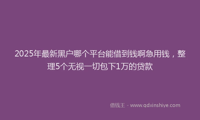 2025年最新黑户哪个平台能借到钱啊急用钱，整理5个无视一切包下1万的贷款