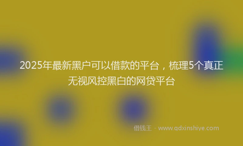 2025年最新黑户可以借款的平台，梳理5个真正无视风控黑白的网贷平台