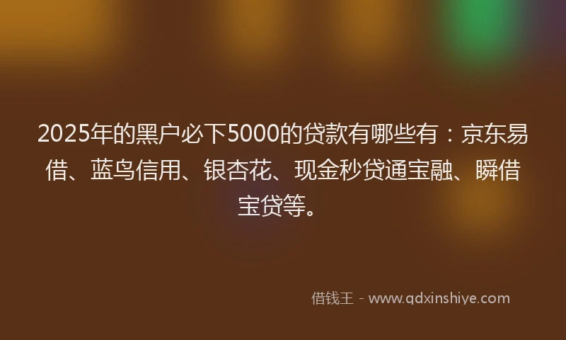 2025年的黑户必下5000的贷款有哪些有：京东易借、蓝鸟信用、银杏花、现金秒贷通宝融、瞬借宝贷等。
