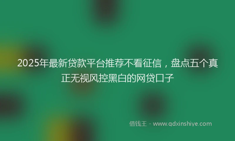 2025年最新贷款平台推荐不看征信，盘点五个真正无视风控黑白的网贷口子