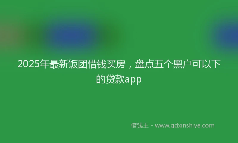 2025年最新饭团借钱买房，盘点五个黑户可以下的贷款app