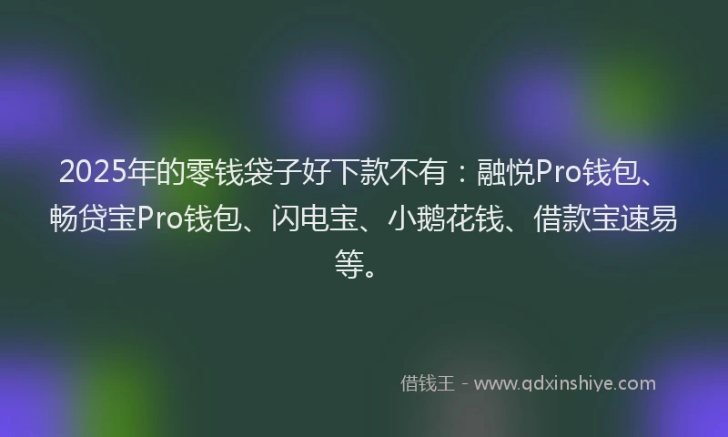 2025年的零钱袋子好下款不有：融悦Pro钱包、畅贷宝Pro钱包、闪电宝、小鹅花钱、借款宝速易等。