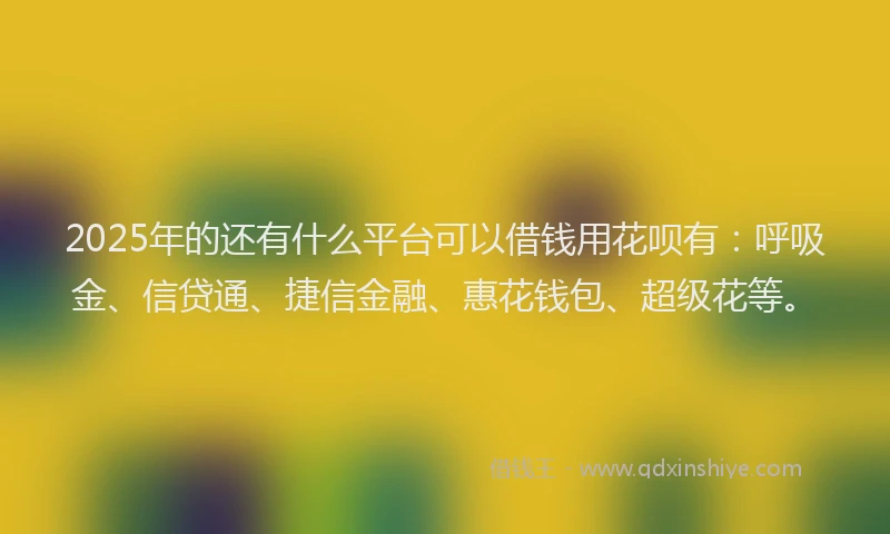 2025年的还有什么平台可以借钱用花呗有：呼吸金、信贷通、捷信金融、惠花钱包、超级花等。