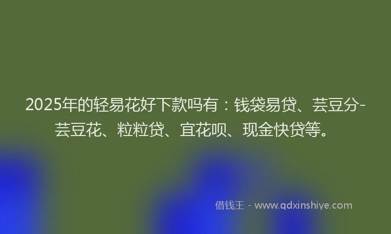 2025年的轻易花好下款吗有：钱袋易贷、芸豆分-芸豆花、粒粒贷、宜花呗、现金快贷等。