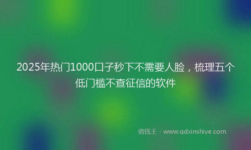 2025年热门1000口子秒下不需要人脸，梳理五个低门槛不查征信的软件
