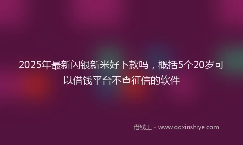 2025年最新闪银新米好下款吗，概括5个20岁可以借钱平台不查征信的软件