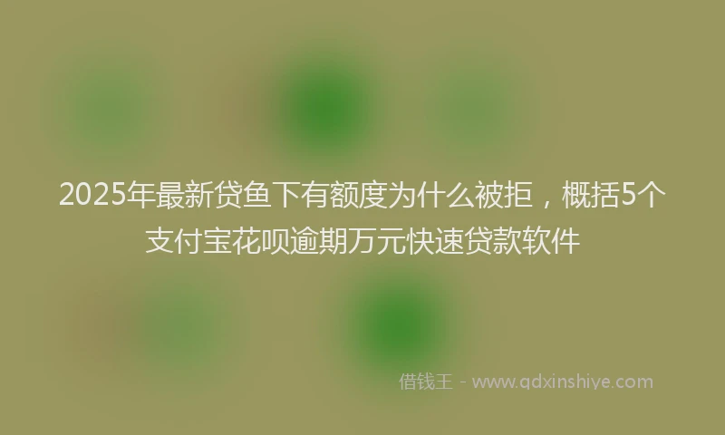 2025年最新贷鱼下有额度为什么被拒，概括5个支付宝花呗逾期万元快速贷款软件