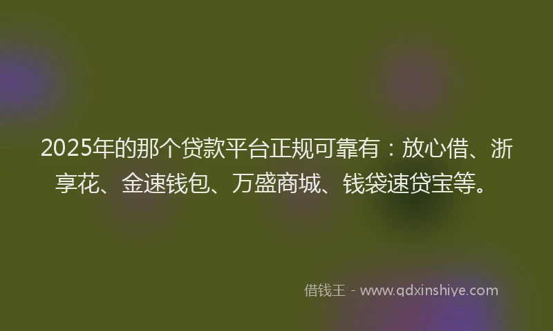 2025年的那个贷款平台正规可靠有：放心借、浙享花、金速钱包、万盛商城、钱袋速贷宝等。