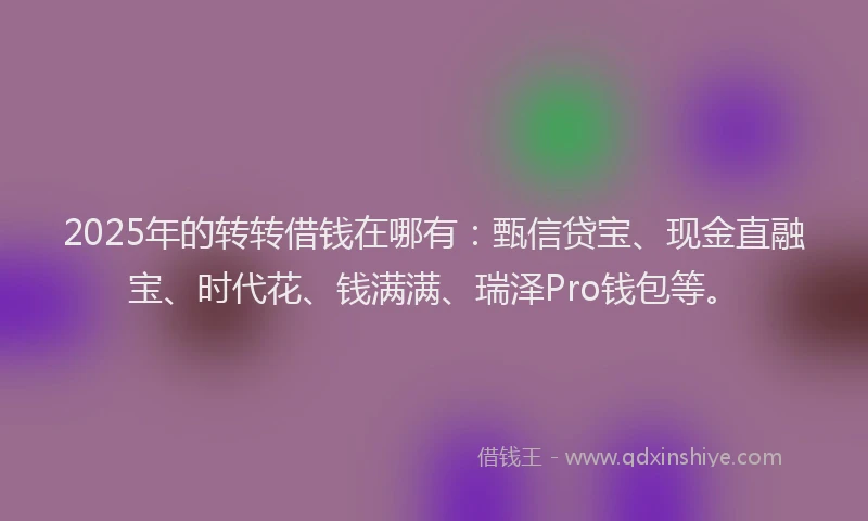 2025年的转转借钱在哪有：甄信贷宝、现金直融宝、时代花、钱满满、瑞泽Pro钱包等。