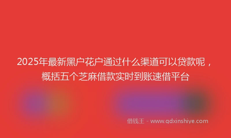 2025年最新黑户花户通过什么渠道可以贷款呢，概括五个芝麻借款实时到账速借平台