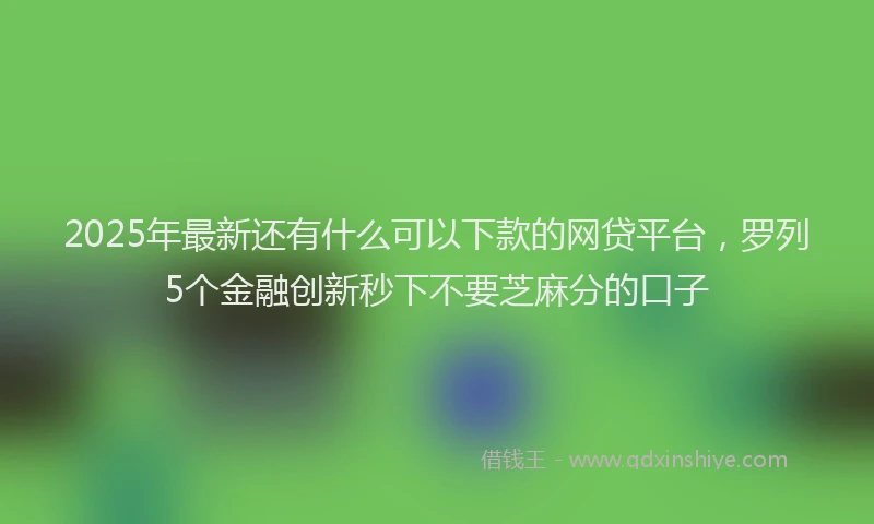 2025年最新还有什么可以下款的网贷平台，罗列5个金融创新秒下不要芝麻分的口子