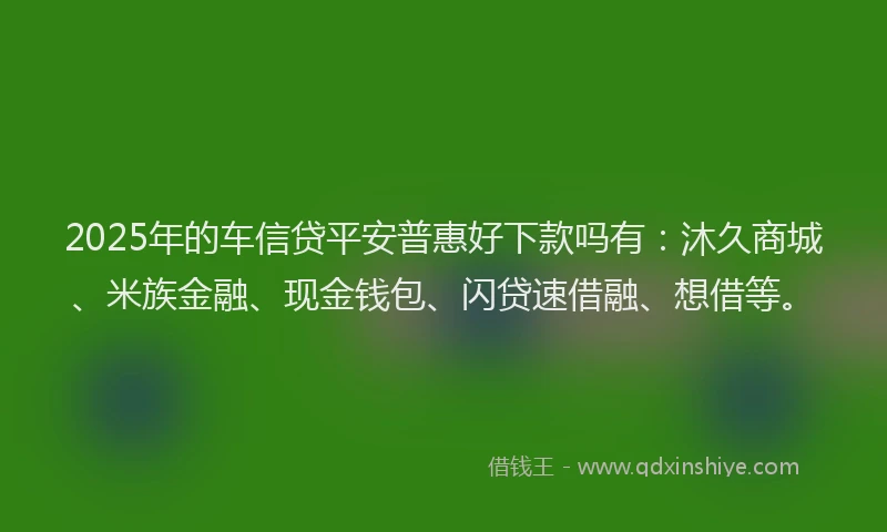 2025年的车信贷平安普惠好下款吗有：沐久商城、米族金融、现金钱包、闪贷速借融、想借等。