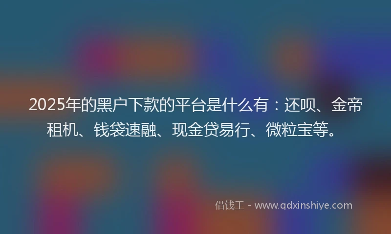 2025年的黑户下款的平台是什么有：还呗、金帝租机、钱袋速融、现金贷易行、微粒宝等。