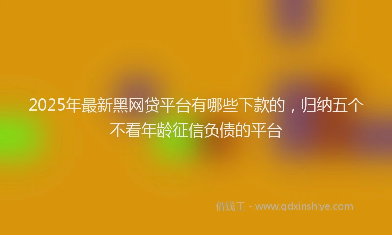 2025年最新黑网贷平台有哪些下款的，归纳五个不看年龄征信负债的平台