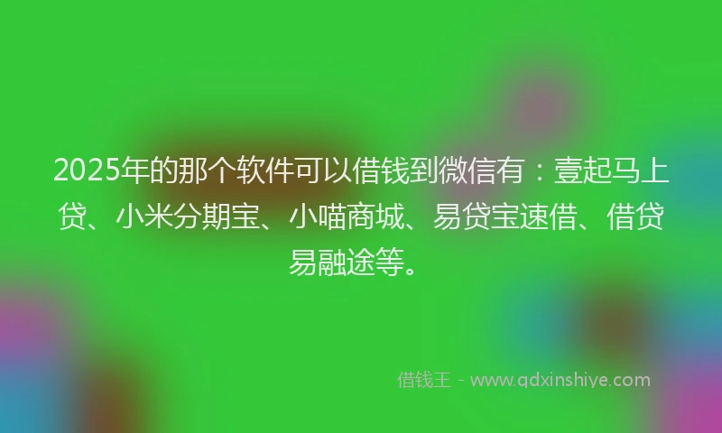 2025年的那个软件可以借钱到微信有：壹起马上贷、小米分期宝、小喵商城、易贷宝速借、借贷易融途等。