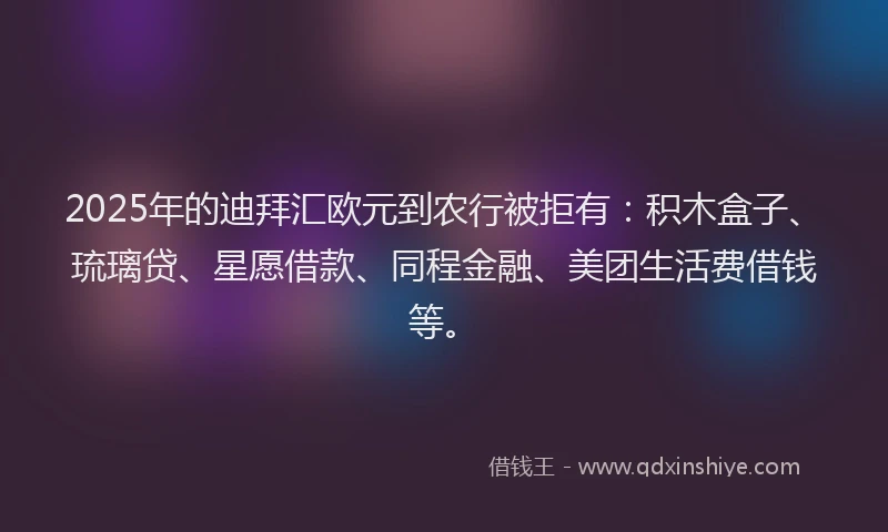2025年的迪拜汇欧元到农行被拒有：积木盒子、琉璃贷、星愿借款、同程金融、美团生活费借钱等。