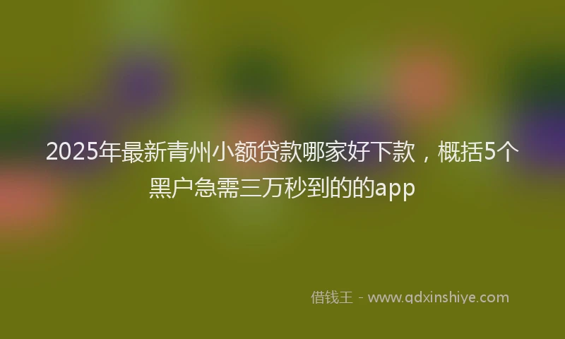 2025年最新青州小额贷款哪家好下款，概括5个黑户急需三万秒到的的app
