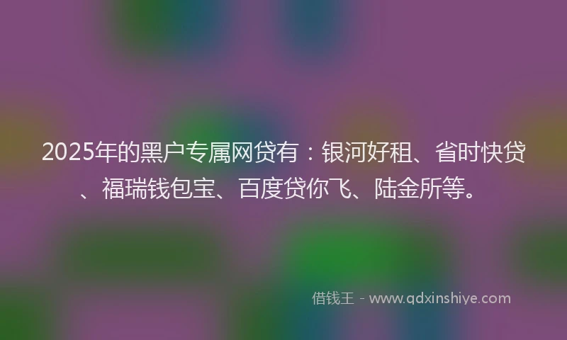 2025年的黑户专属网贷有：银河好租、省时快贷、福瑞钱包宝、百度贷你飞、陆金所等。