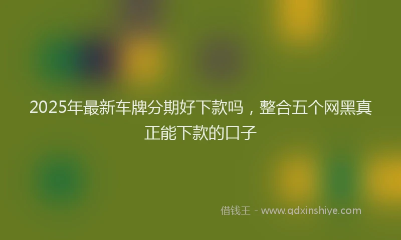2025年最新车牌分期好下款吗，整合五个网黑真正能下款的口子