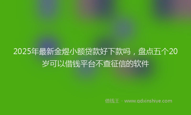 2025年最新金煜小额贷款好下款吗，盘点五个20岁可以借钱平台不查征信的软件