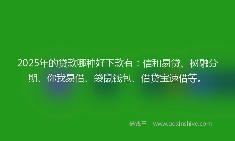 2025年的贷款哪种好下款有：信和易贷、树融分期、你我易借、袋鼠钱包、借贷宝速借等。