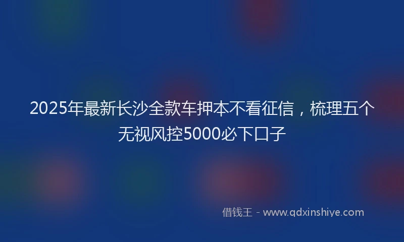 2025年最新长沙全款车押本不看征信，梳理五个无视风控5000必下口子
