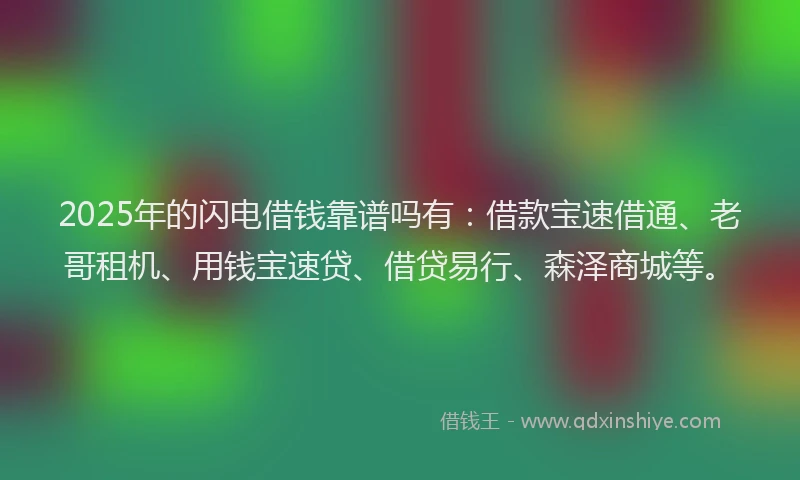 2025年的闪电借钱靠谱吗有：借款宝速借通、老哥租机、用钱宝速贷、借贷易行、森泽商城等。