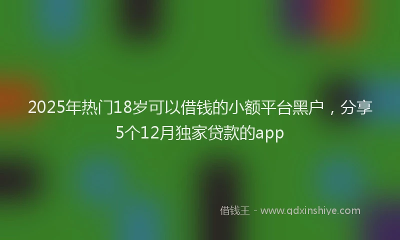 2025年热门18岁可以借钱的小额平台黑户，分享5个12月独家贷款的app