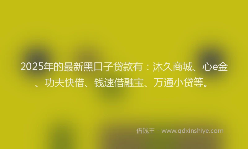 2025年的最新黑口子贷款有：沐久商城、心e金、功夫快借、钱速借融宝、万通小贷等。
