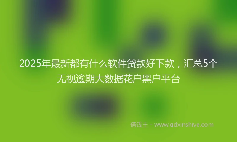 2025年最新都有什么软件贷款好下款，汇总5个无视逾期大数据花户黑户平台