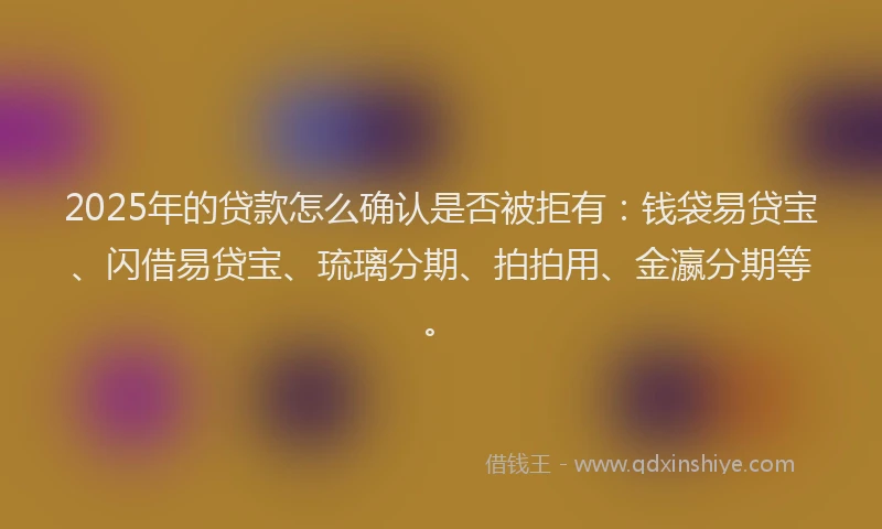 2025年的贷款怎么确认是否被拒有：钱袋易贷宝、闪借易贷宝、琉璃分期、拍拍用、金瀛分期等。